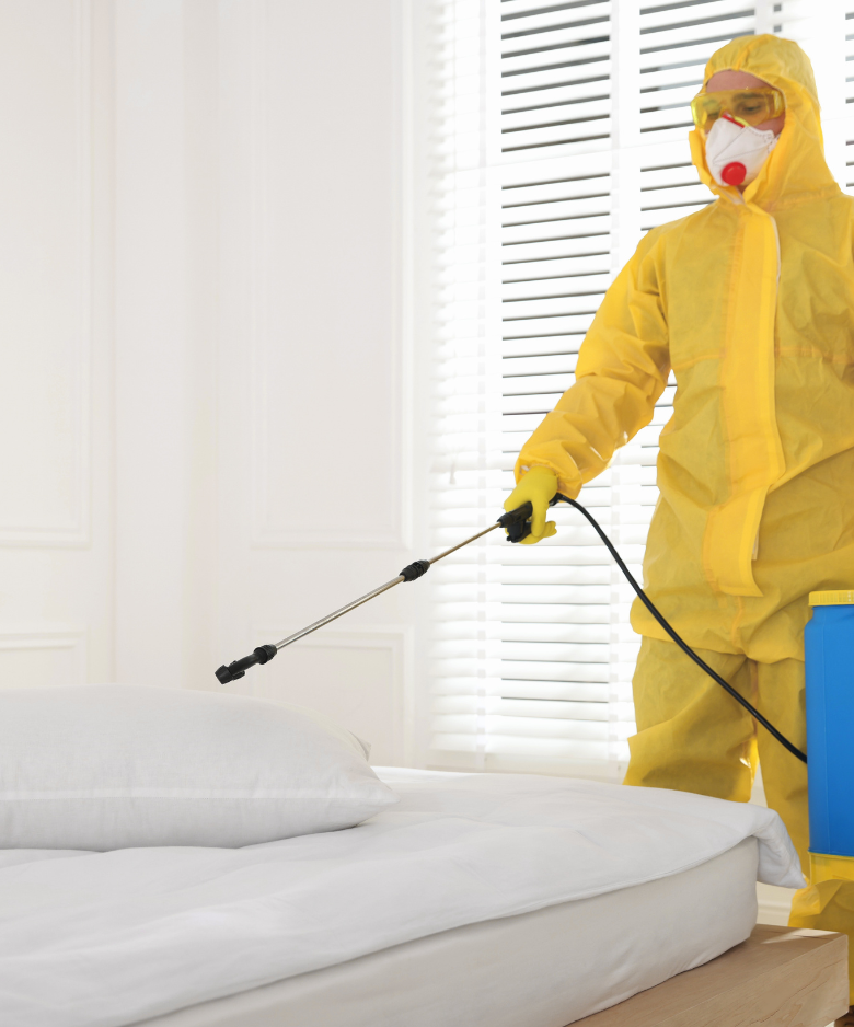 Professional Pest Control Team in Athelstone